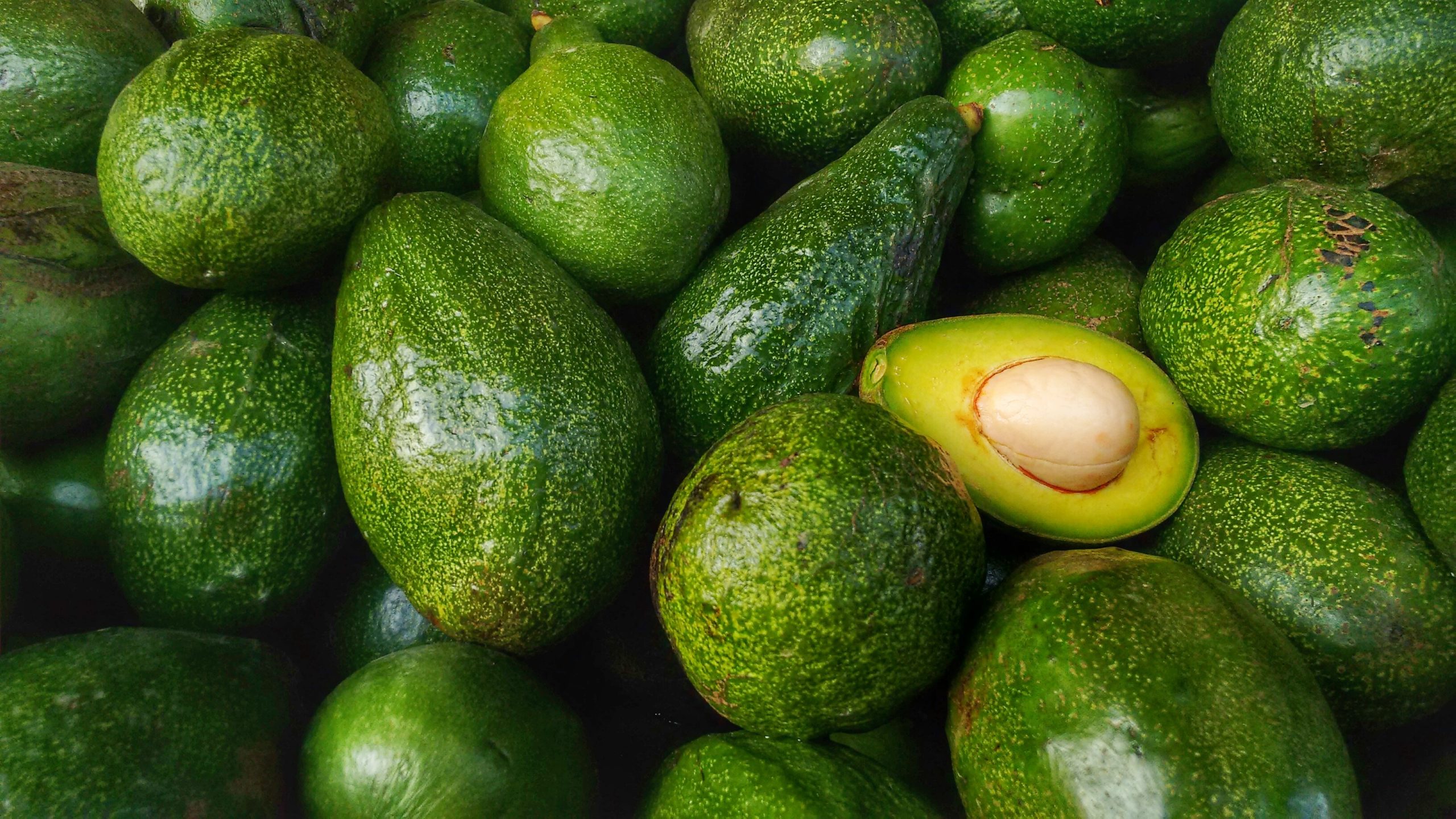 avocados