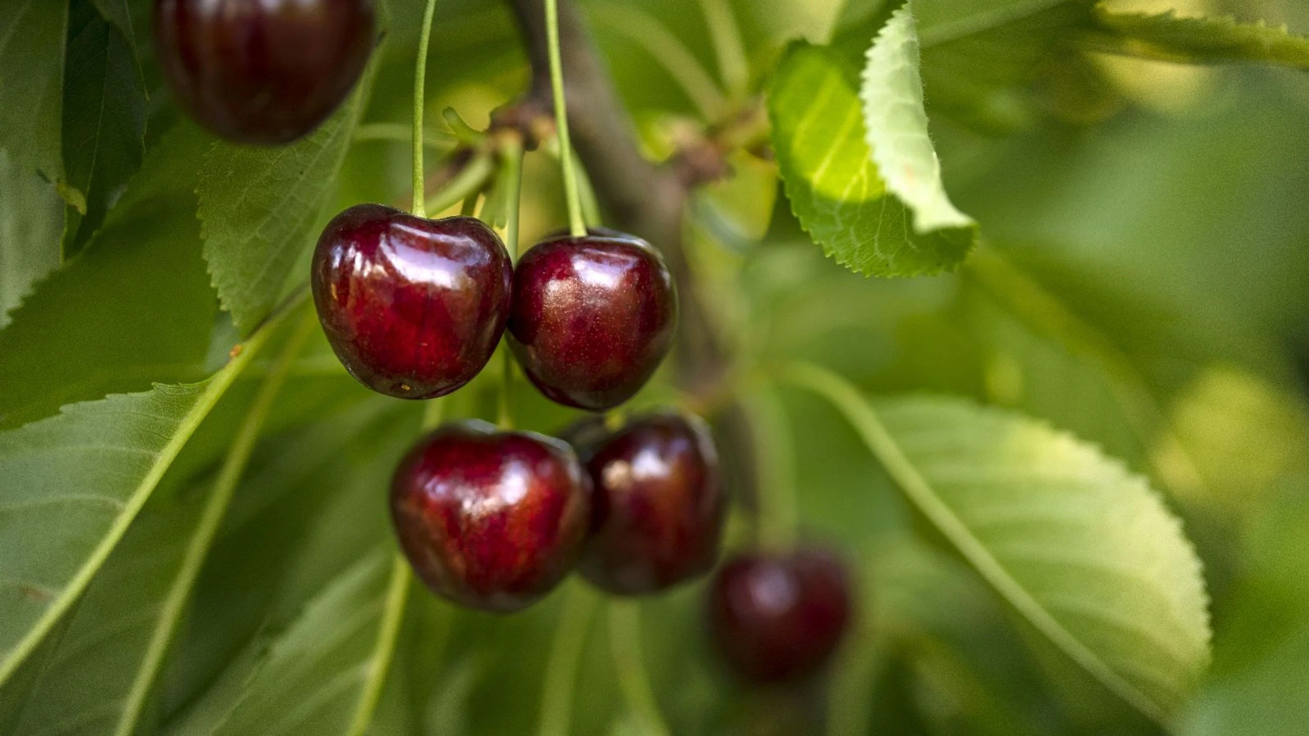 5fe3e905-a7f9-40f2-979e-f79b8305d148