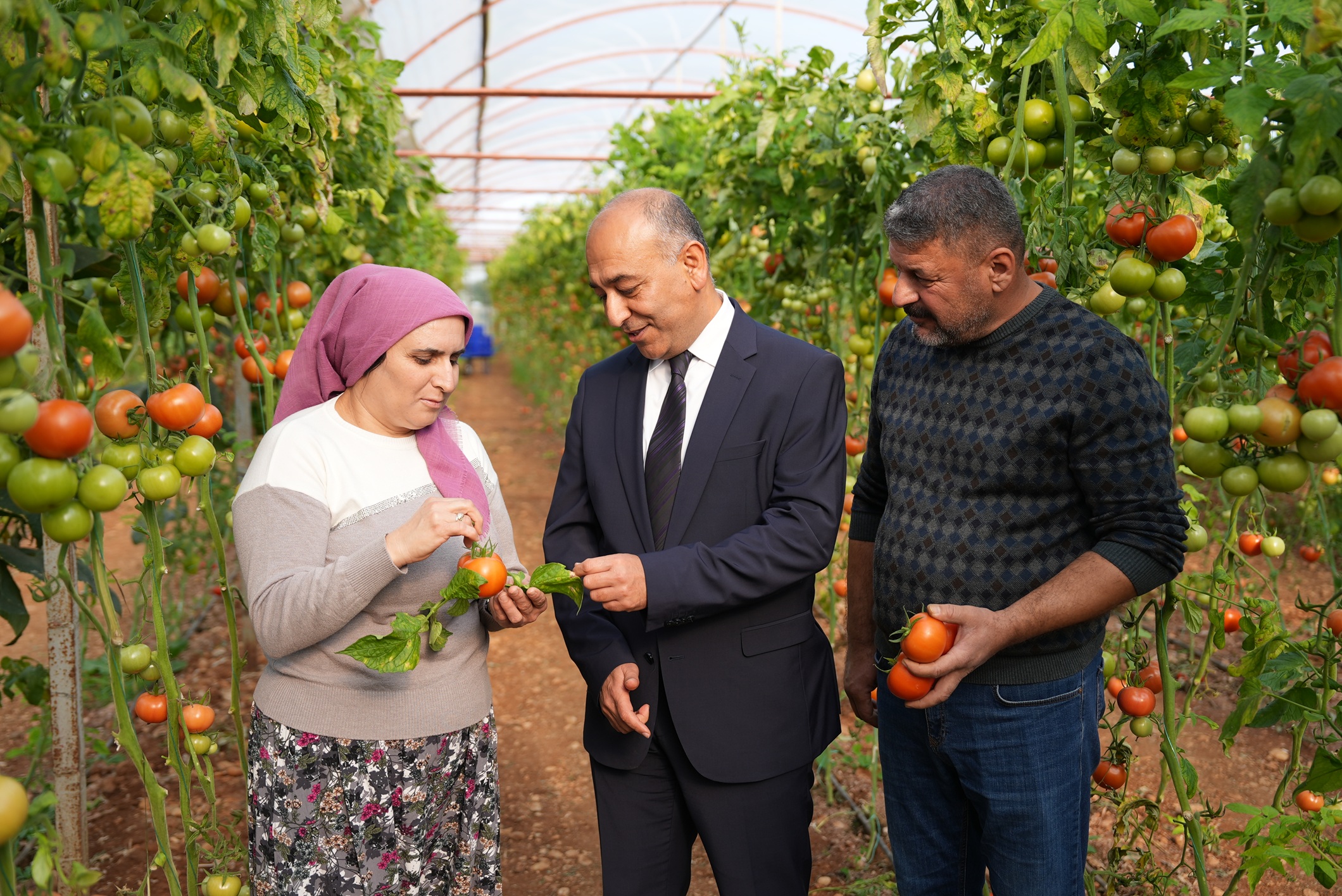 1766562888_ift__ilerveU__urDemirel